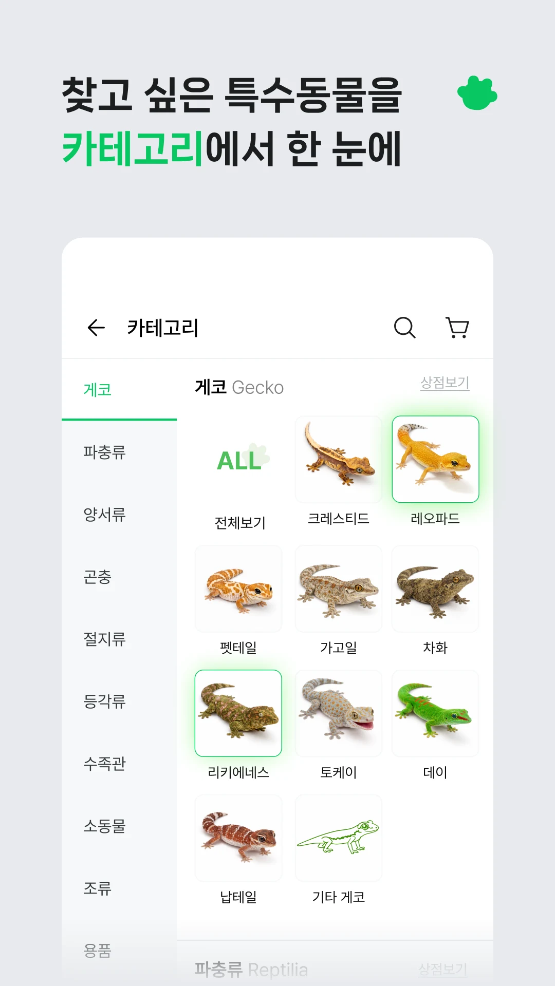 키워 - 특수동물 분양 중개 플랫폼 screenshot