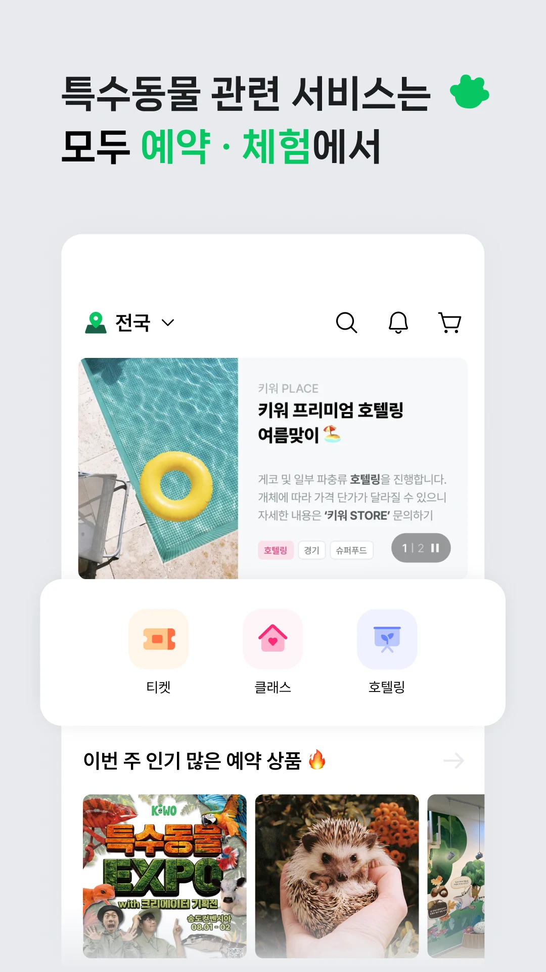 키워 - 특수동물 분양 중개 플랫폼 screenshot